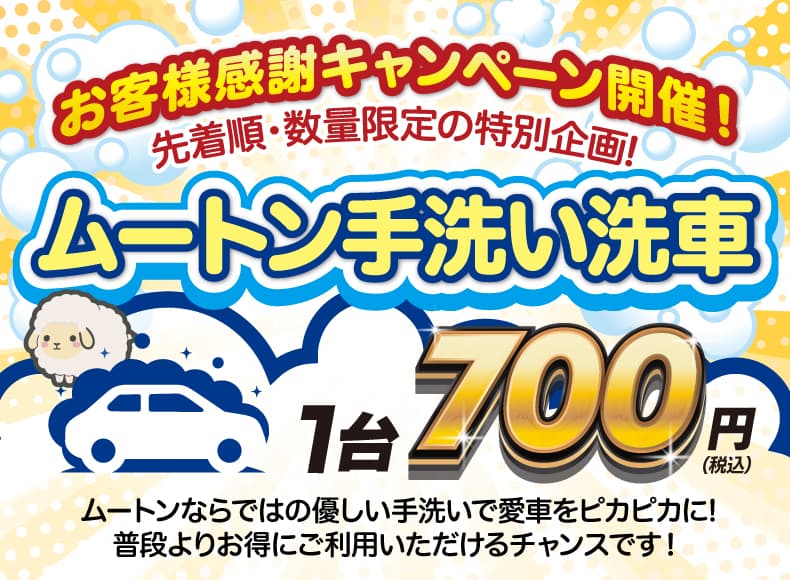ムートン手洗い洗車